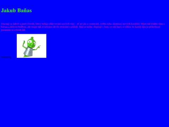 page screenshot