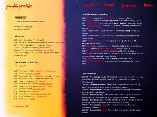 curriculum-vitae screenshot