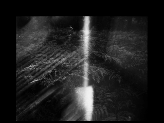 journal/alv screenshot