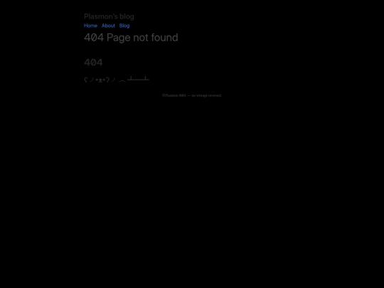 404 screenshot