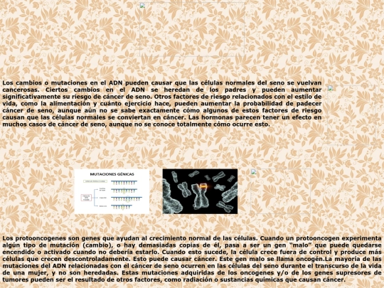 PROYECTO.HTML/causas screenshot