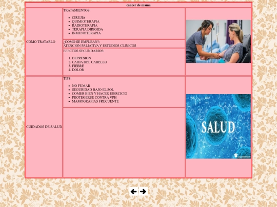 PROYECTO.HTML/comotratarlo screenshot