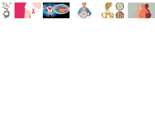PROYECTO.HTML/informacion screenshot