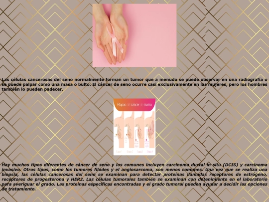 PROYECTO.HTML/pagextra2 screenshot