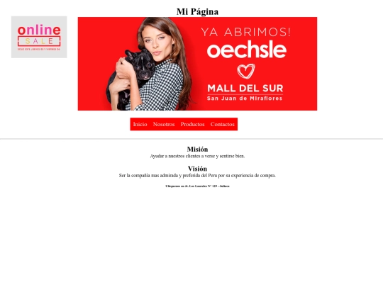 pagina/misionvision screenshot