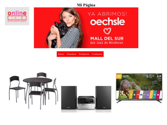 pagina/productos screenshot