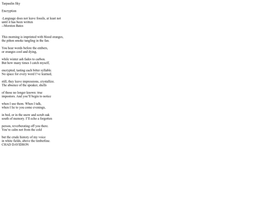 Index Data/Encryption Poetry/Tarpaulin Sky screenshot