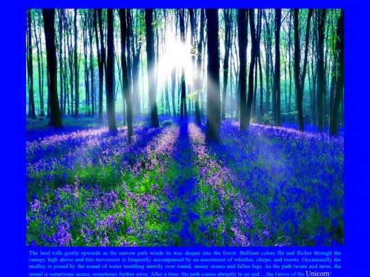 unicorn_grove screenshot