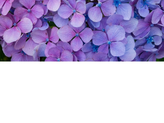 monts/March.2026 screenshot