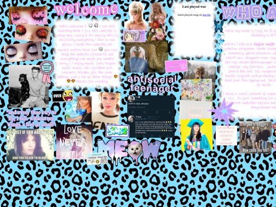 the screenshot