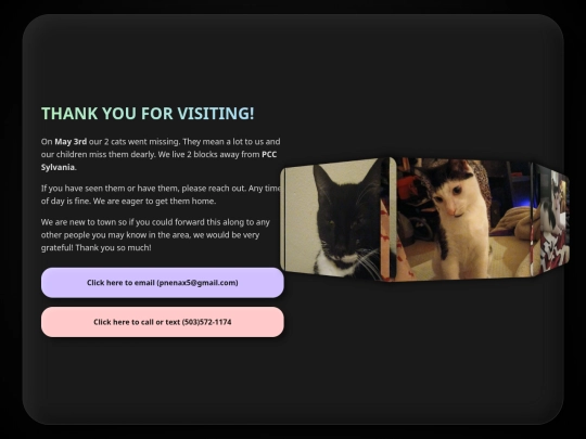2lostcats screenshot