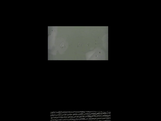 mimfimds screenshot