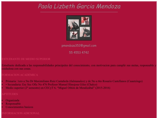 pagina/CV Paola Mendoza screenshot