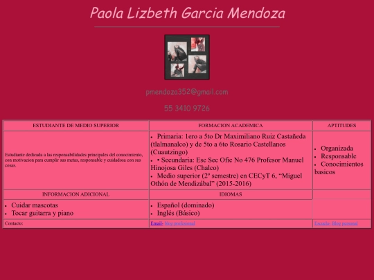 pagina/tabla de CVPLGM screenshot