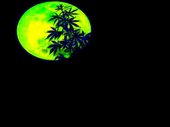 chilletc/0p3 screenshot