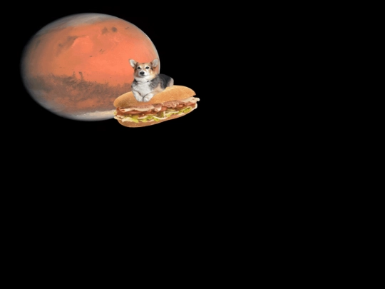 chilletc/dogsp screenshot