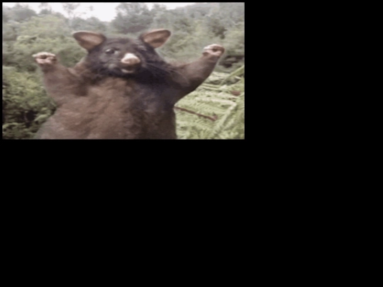 chilletc/g/possd screenshot