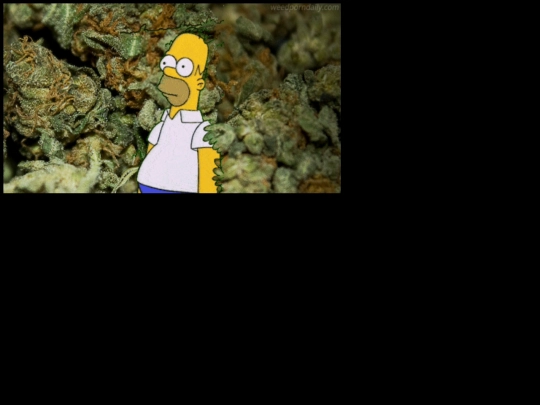 chilletc/gif1 screenshot