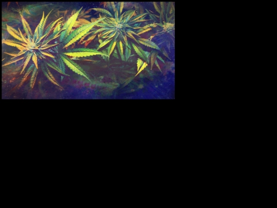chilletc/gif3 screenshot
