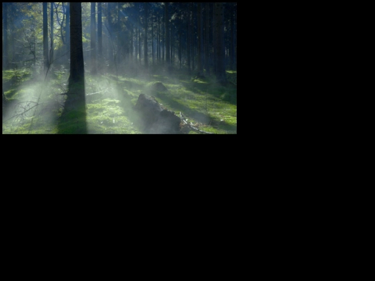 chilletc/gif6 screenshot