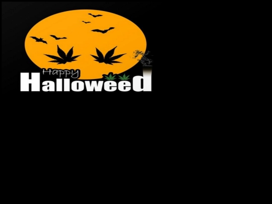 chilletc/xhalloweed screenshot