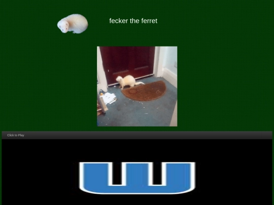 md/fecker screenshot