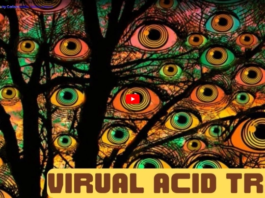 music/ytb/owl screenshot