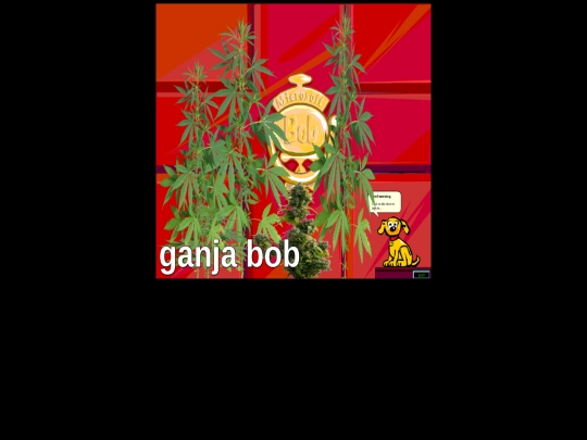 random/bob screenshot
