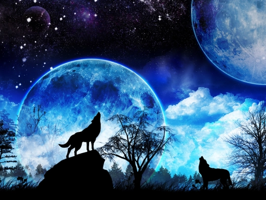 stuff/wolfbg screenshot