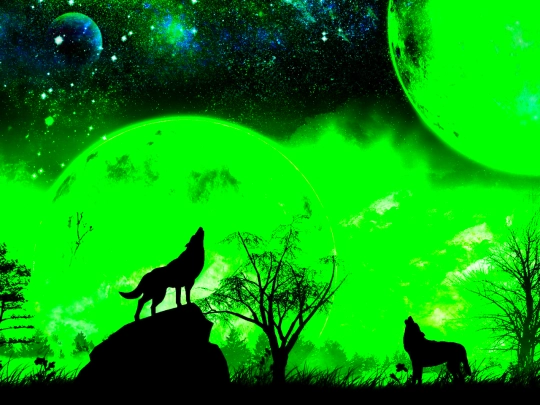 stuff/wolfbgt screenshot