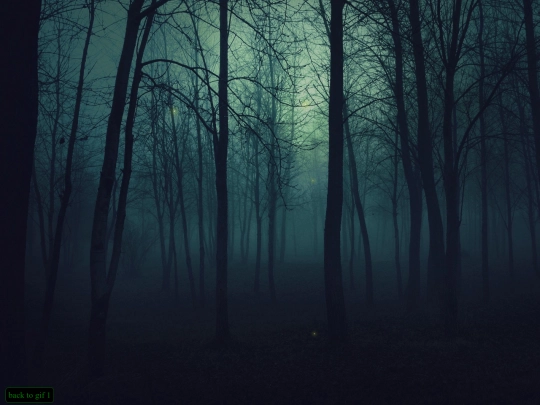 tb/firefly screenshot