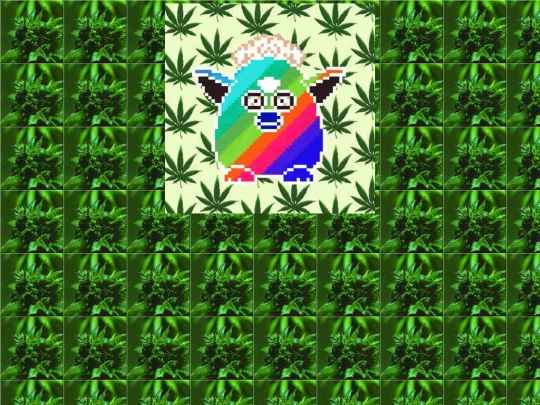w/high screenshot