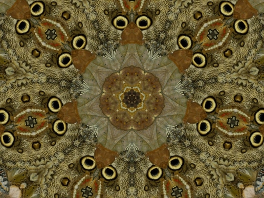 w/kaleidos-master/cmixkp screenshot
