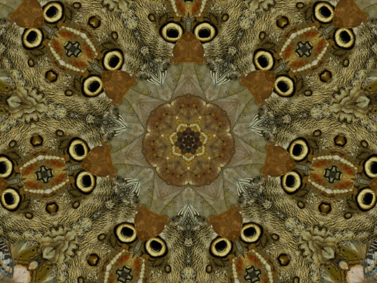 w/kaleidos-master/k1 screenshot