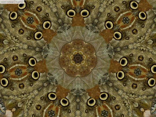 w/kaleidos-master/k2 screenshot