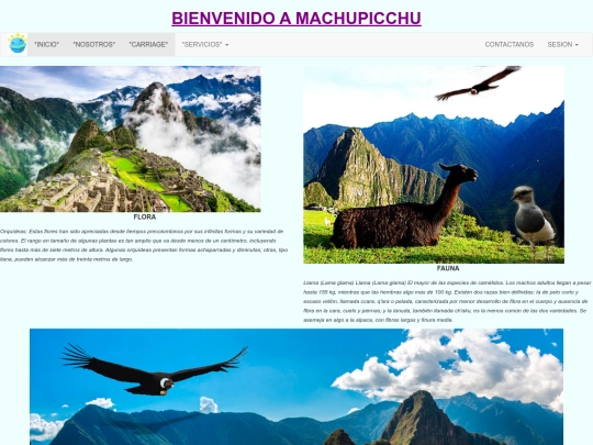 pagina4 screenshot