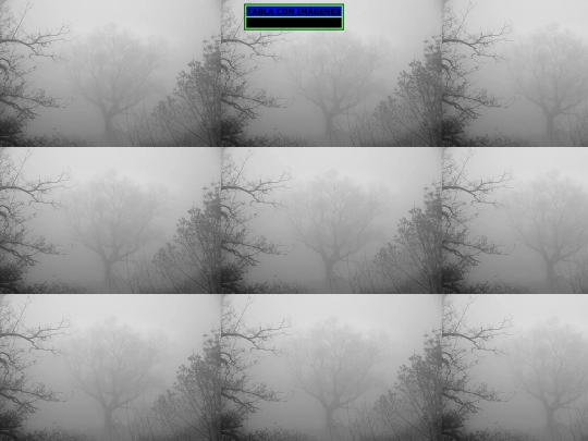 ejercicio06b screenshot