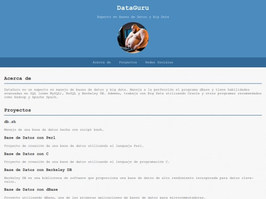 page/DataGuru screenshot