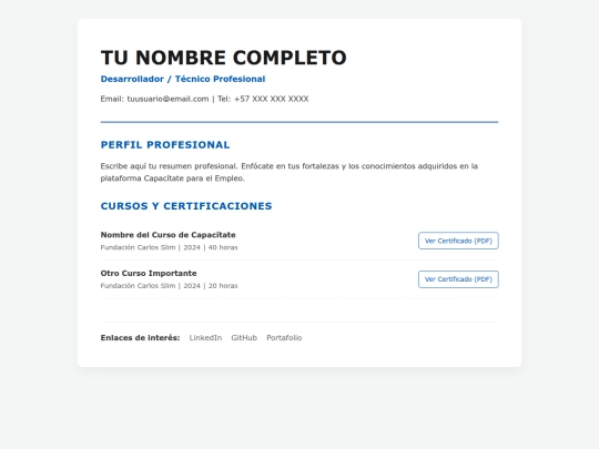 page/fabian/cv screenshot