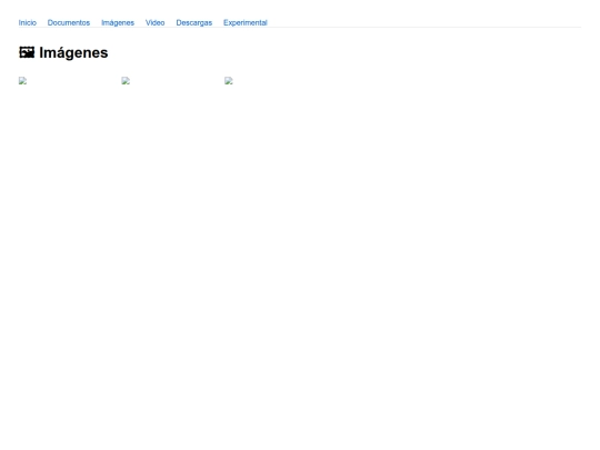 page/zone/imagenes screenshot