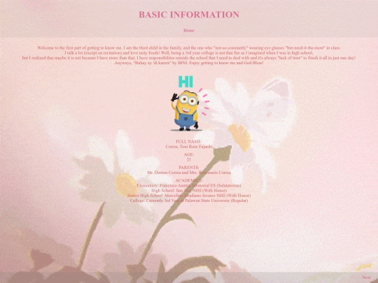 Information screenshot