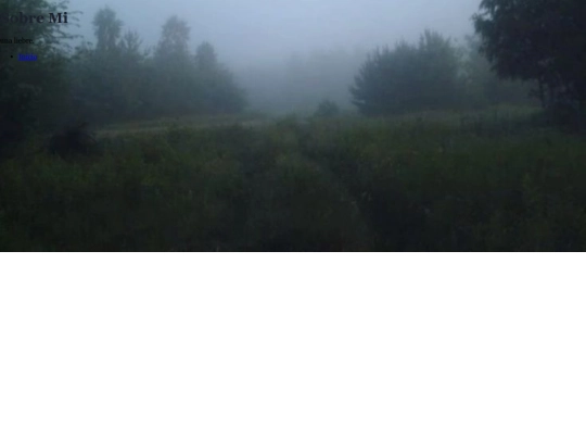 sobremi screenshot