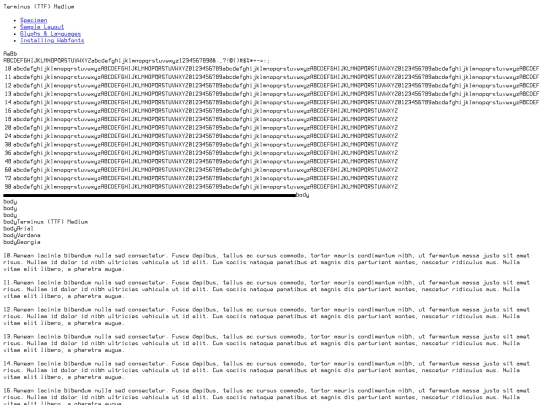 fonts/terminusttf-4.49.2-demo screenshot