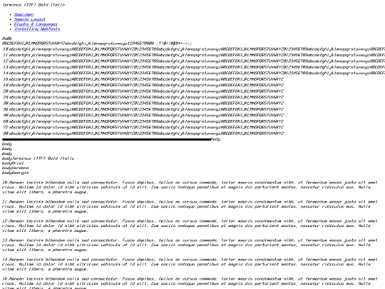 fonts/terminusttf-bold_italic-4.49.2-demo screenshot