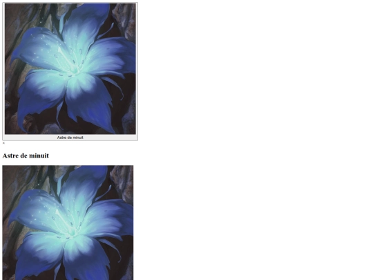 Miravarium guidebook/guidebook v2/spisherbariusza screenshot