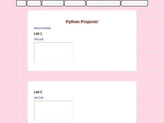 python screenshot