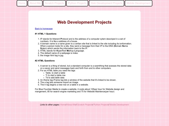 webDev screenshot