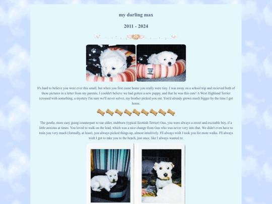 angelmaxy screenshot