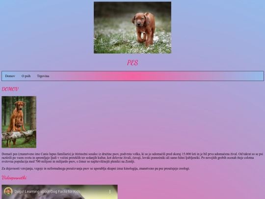 dog screenshot