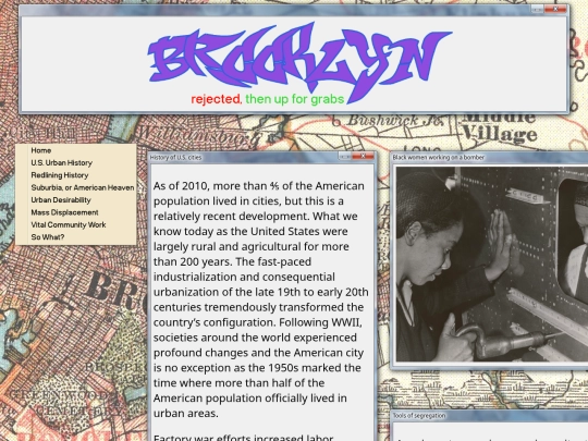 brooklyn/brooklyn.city.history screenshot